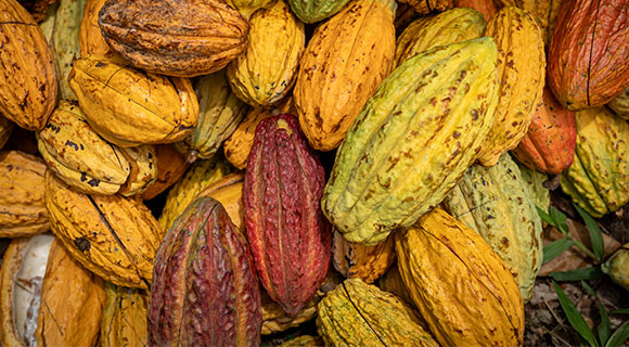 Grand Cru Esmeraldas made from flavourful Arriba cacao